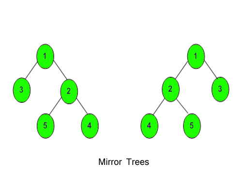 Mirror tree hot sale